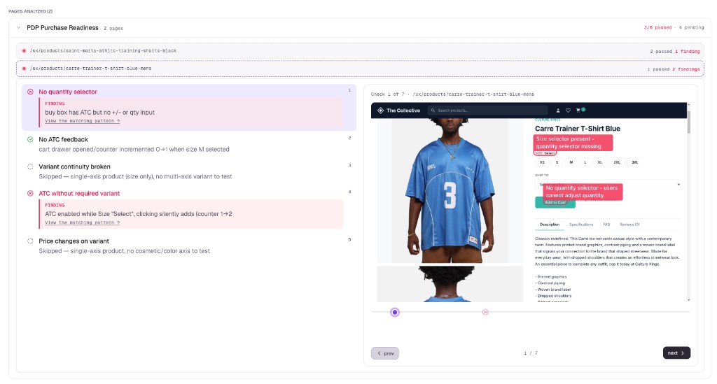 Expanded run detail showing per-page checks with annotated screenshots